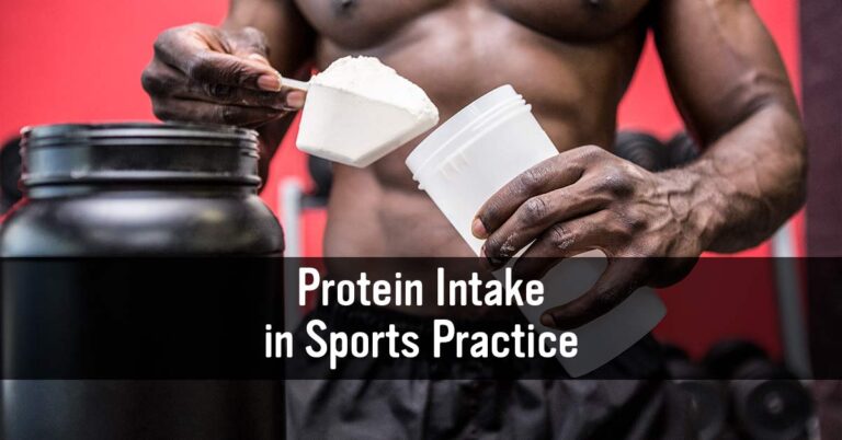 Protein Intake in Sports Practice