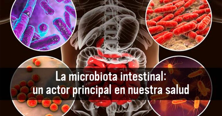 La microbiota intestinal: un actor principal en nuestra salud