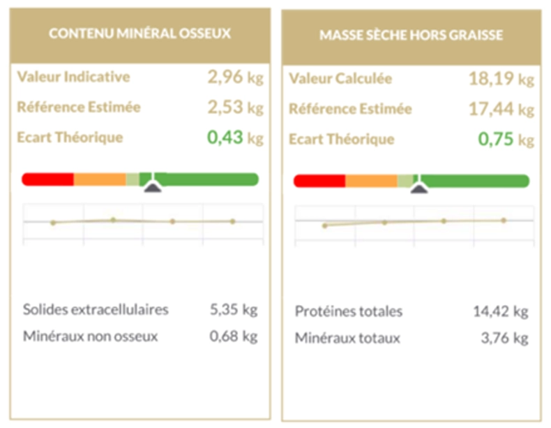 Contenu mineral osseux - Masse seche